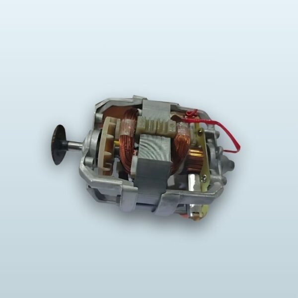 1000W Mixer Grinder Motor